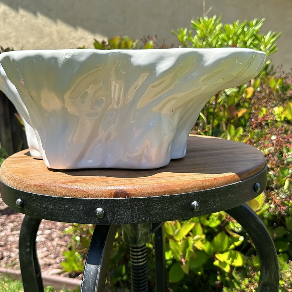 Shell vase or decor - Picture 2 of 5